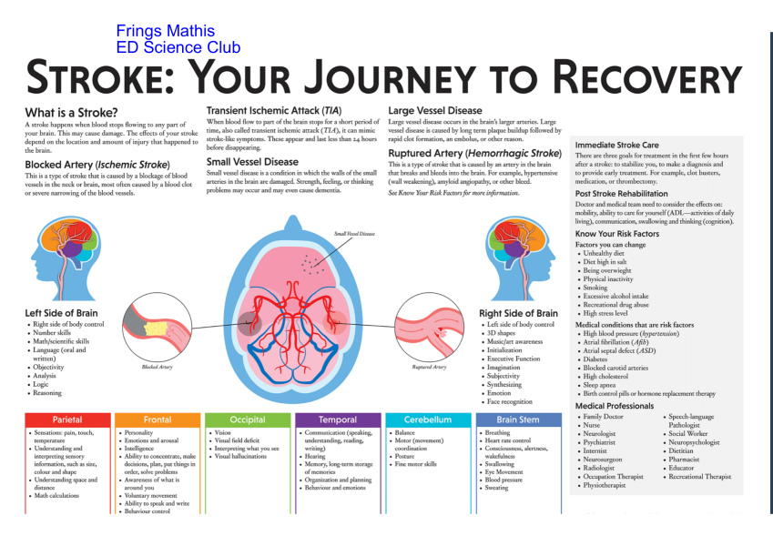 STROKE-YOUR-JOURNEY-TO-RECOVERY-Frings-Mathis-1-700ec13a.png