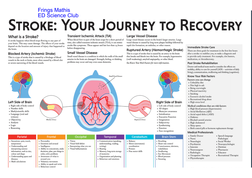STROKE-YOUR-JOURNEY-TO-RECOVERY-Frings-Mathis-12-6e8cda5c.png