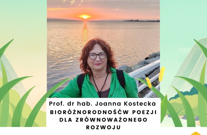 Baner reklamujący wydarzenie - profesor Kostecka stoi nad morzem, zachód słońca.