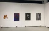 Druga wystawa: Art & Science 5. - „Art of Apoptosis” w Madrycie w Hiszpani