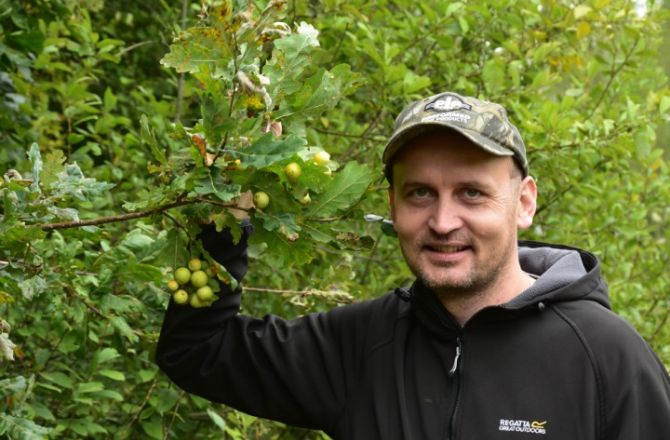 Prof Dudek stoi w lesie, w ręku trzyma gałązkę dębu