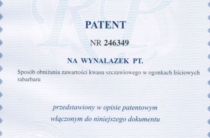 Fragment dokumentu patentowego, tekst; PATENT, na wynalazek......