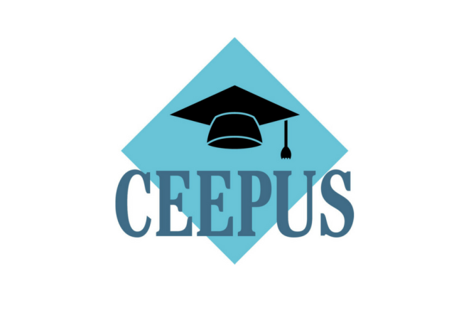 INTERNATIONAL CEEPUS SUMMER SCHOOL at the College of Medical Sciences, University of Rzeszow 2024