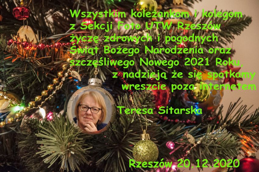 ZyczSwNr-2020-Teresa-Sitarska--9d7caba5.jpg