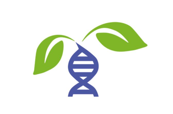 logo Plants. ID