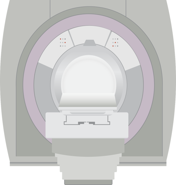 mri-1485929_1280-67311182.png