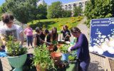 Studenci sadzą rośliny w donicach