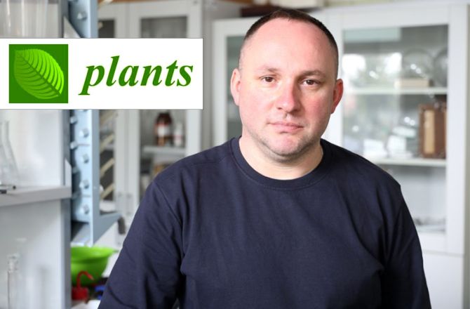 Profesor Maciej Balawejder w laboratorium  logo czasopisma Plants