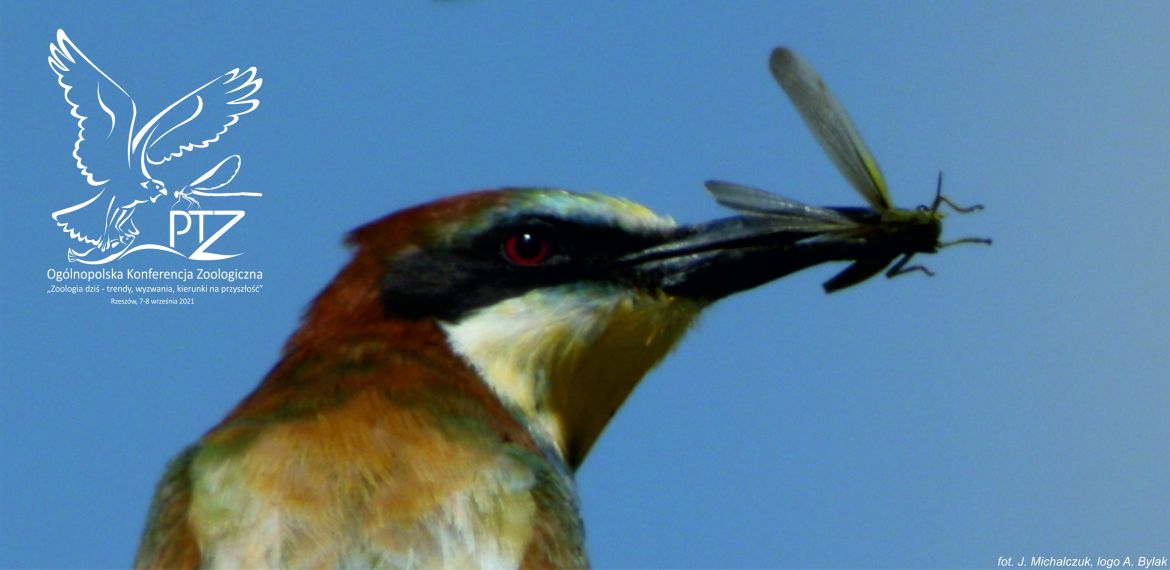 logo konferencji, w tle ptak z owadem w dziobie