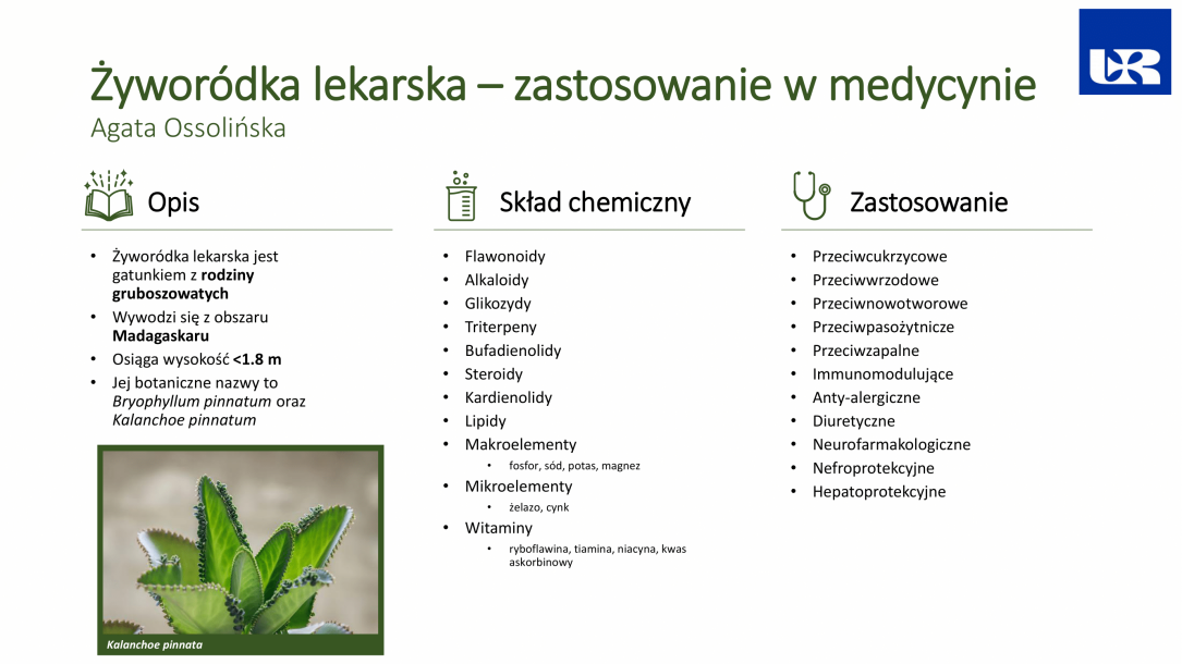 ZYWORODKA-LEKARSKA-zastosowanie-w-medycynie-Agata-Ossolinska-1-4e699c7a.png
