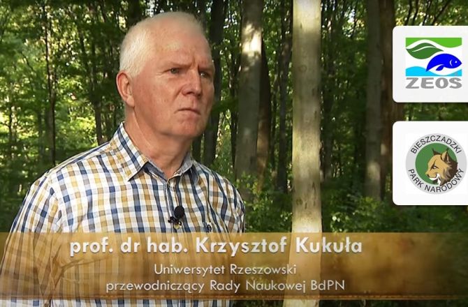 profesor Krzysztof Kukuła, w tle las