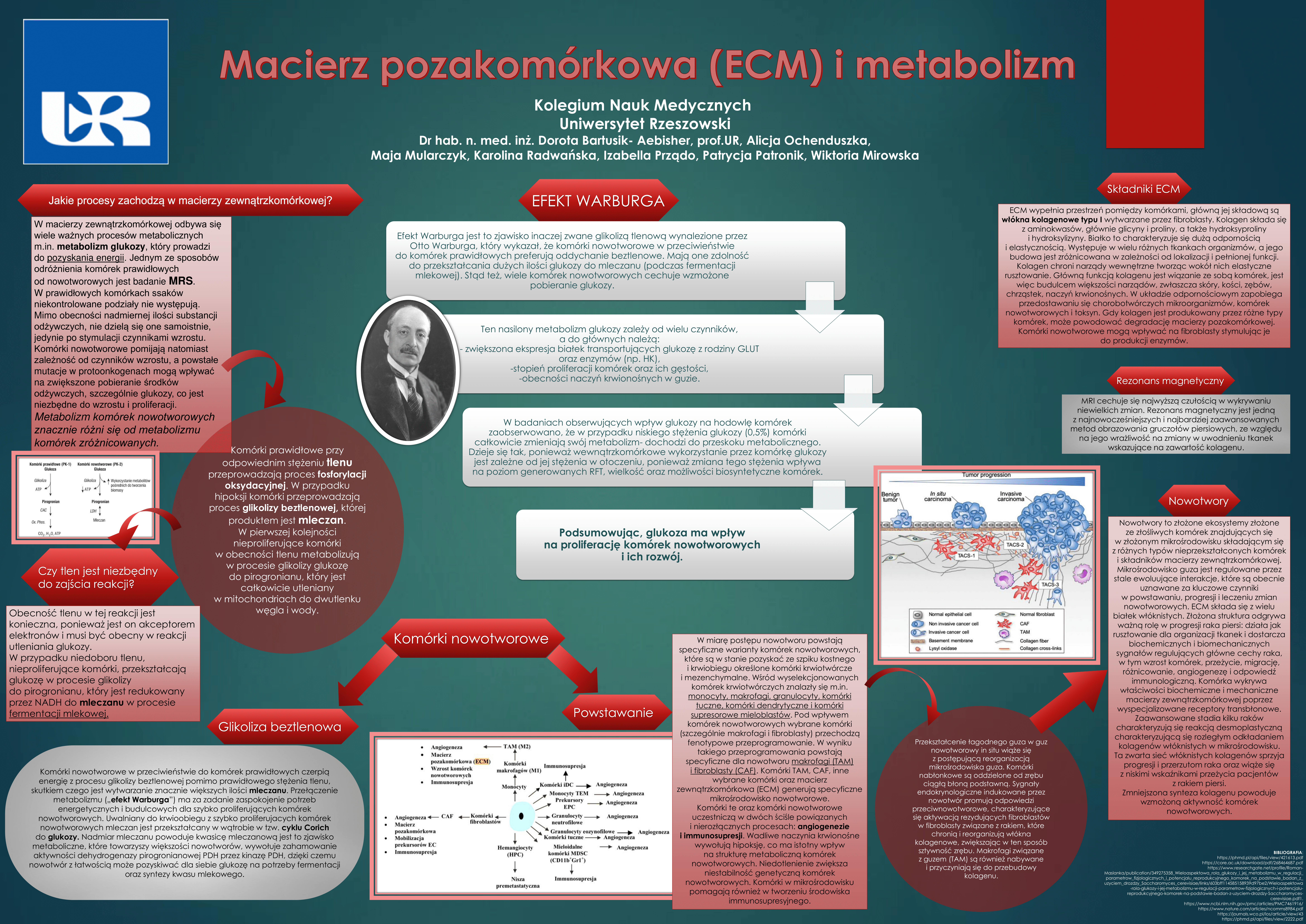 Macierz Pozakomórkowa (ECM) i metabolizm.png [14.67 MB]