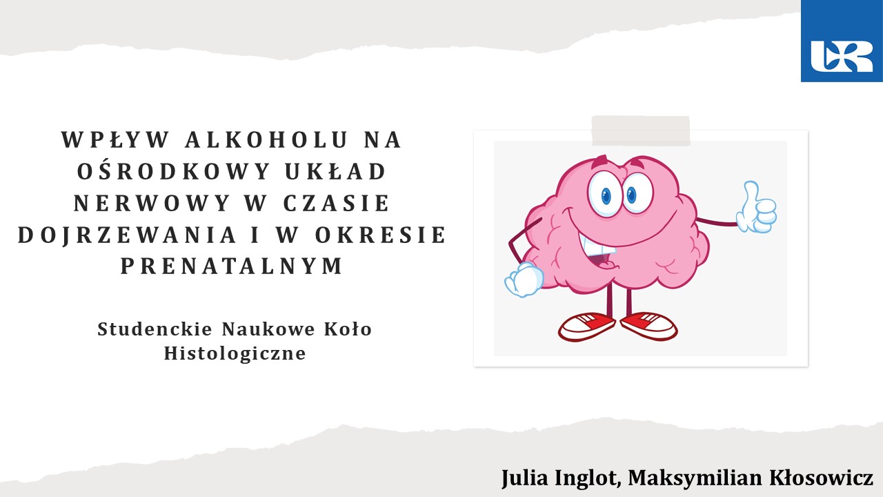 WPŁYW ALKOHOLU   - Julia Inglot et al..jpg [94.38 KB]