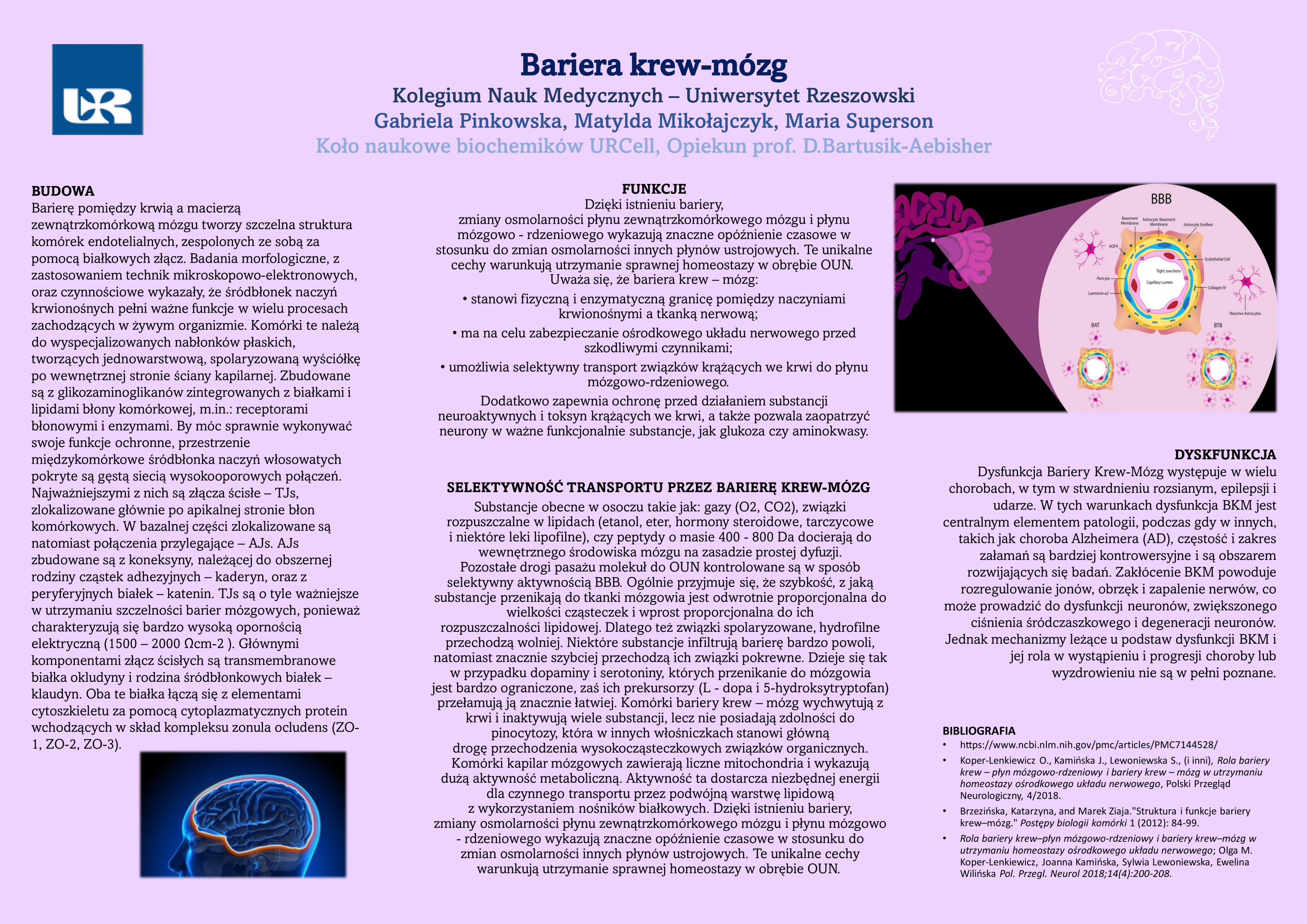 Bariera-krew-mozg - UR Cell Biochemistry Student Scientific Circle