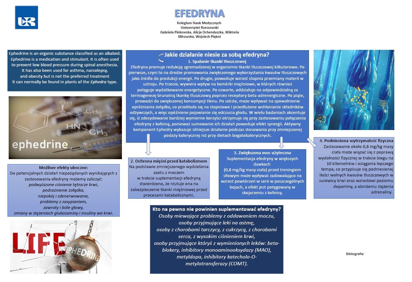 EFEDRYNA2 - UR Cell Biochemistry Student Scientific Circle