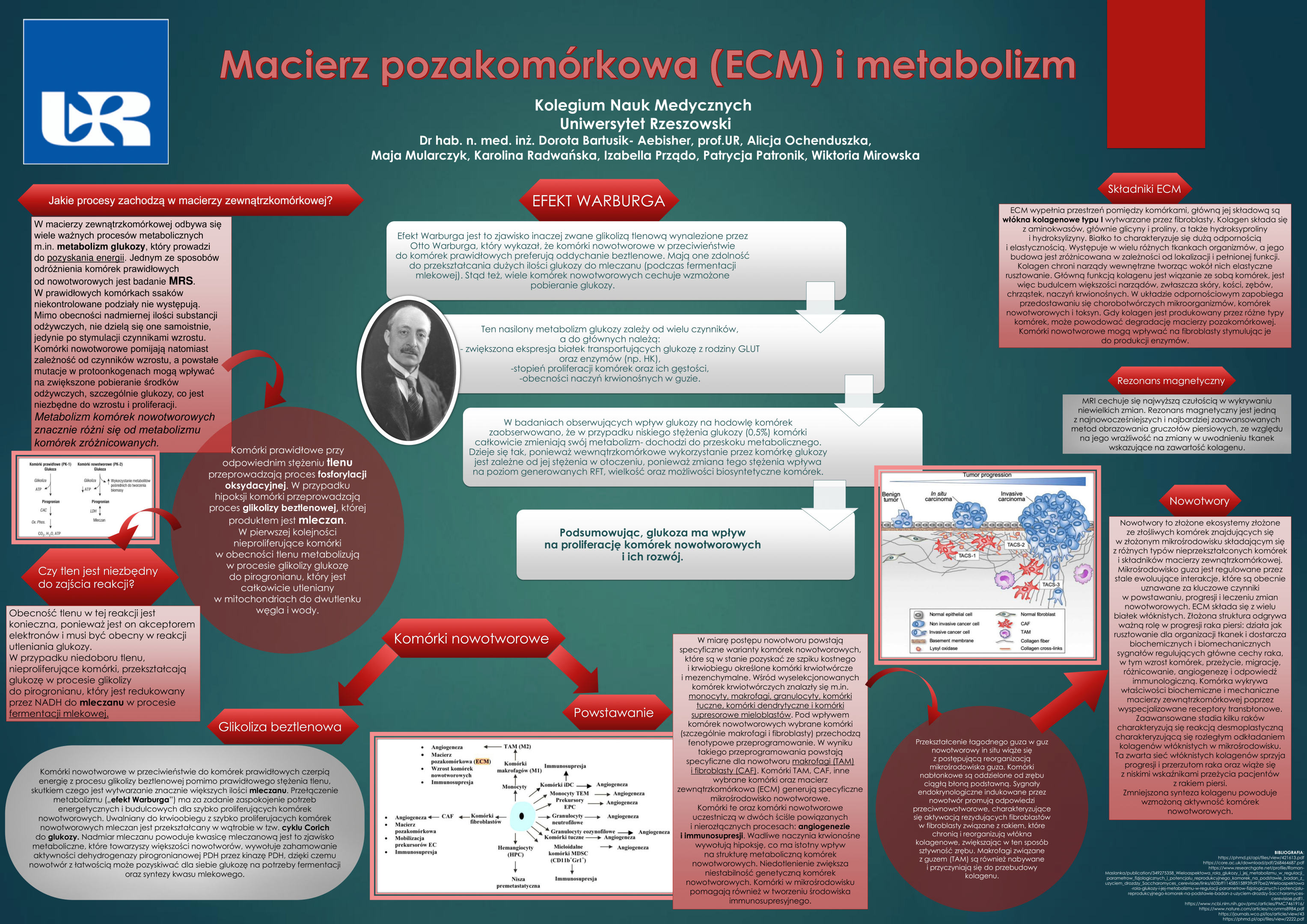 Macierz-Pozakomorkowa-(ECM)-i-metabolizm UR Cell Biochemistry Student Scientific Circle