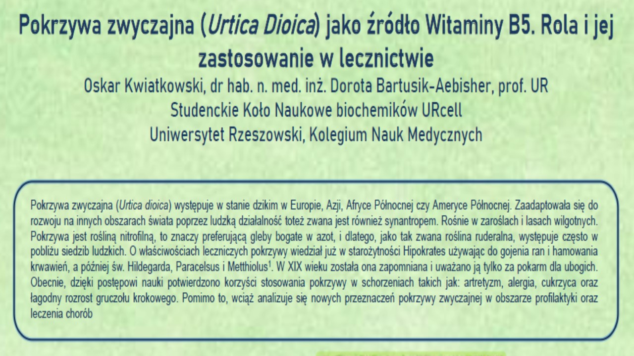 Pokrzywa zwyczajna (Urtica Dioica) jako źródło Witaminy B5. Rola i jej zastosowanie w lecznictwie