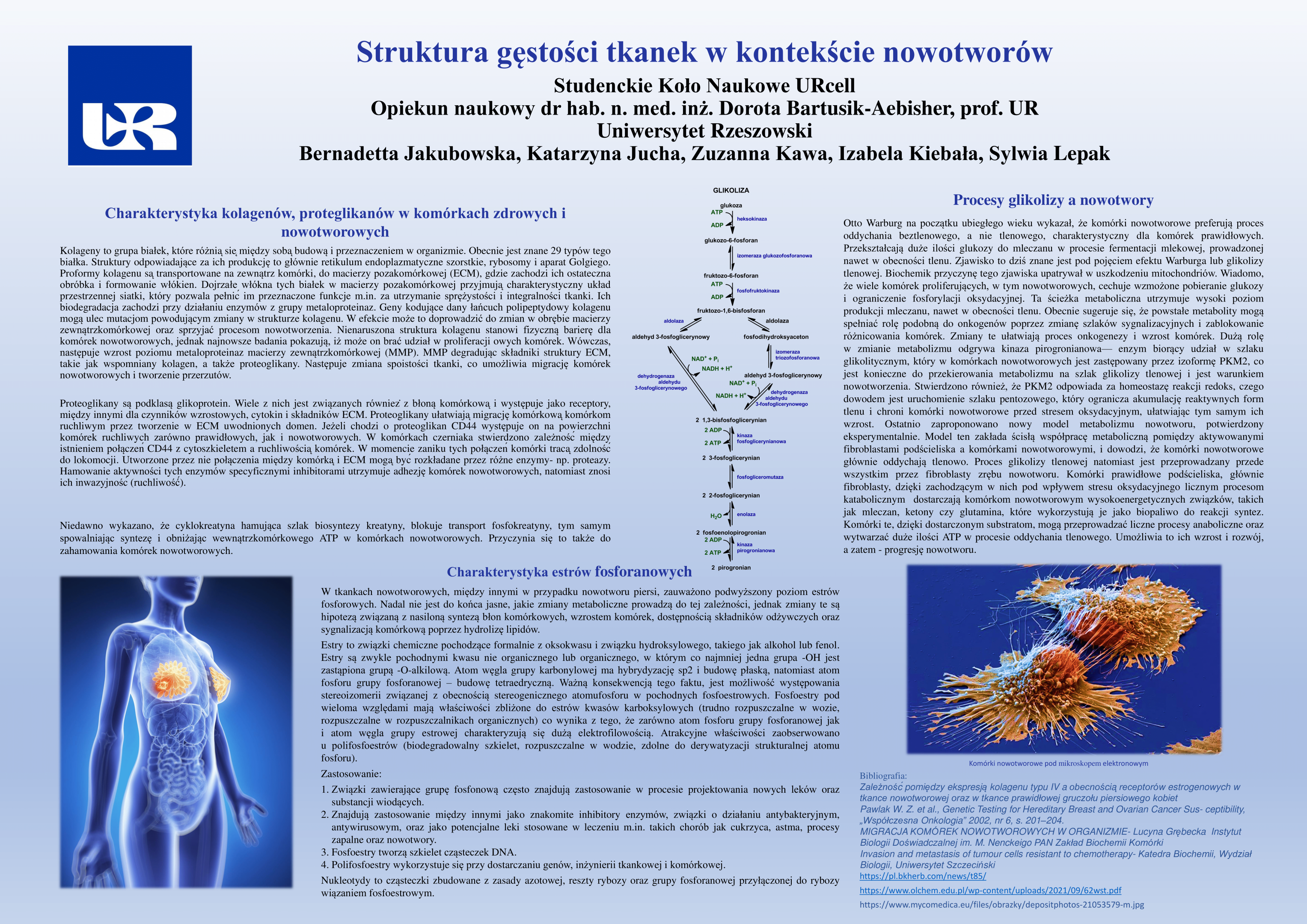 Struktura-gestosci-tkanek-w-kontekscie-nowotworow-UR Cell Biochemistry Student Scientific Circle