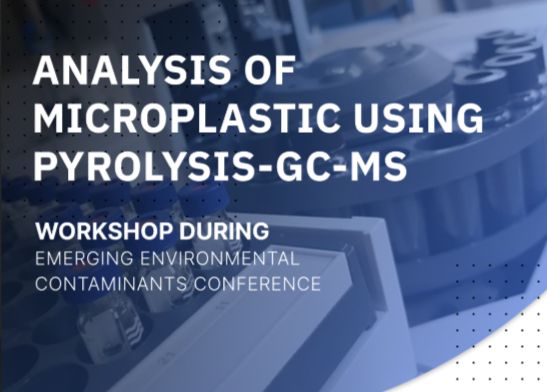 tytuł warsztatów Analysis of micropastic using pyrolysis gc ms